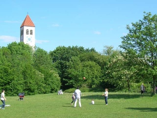 Landscape